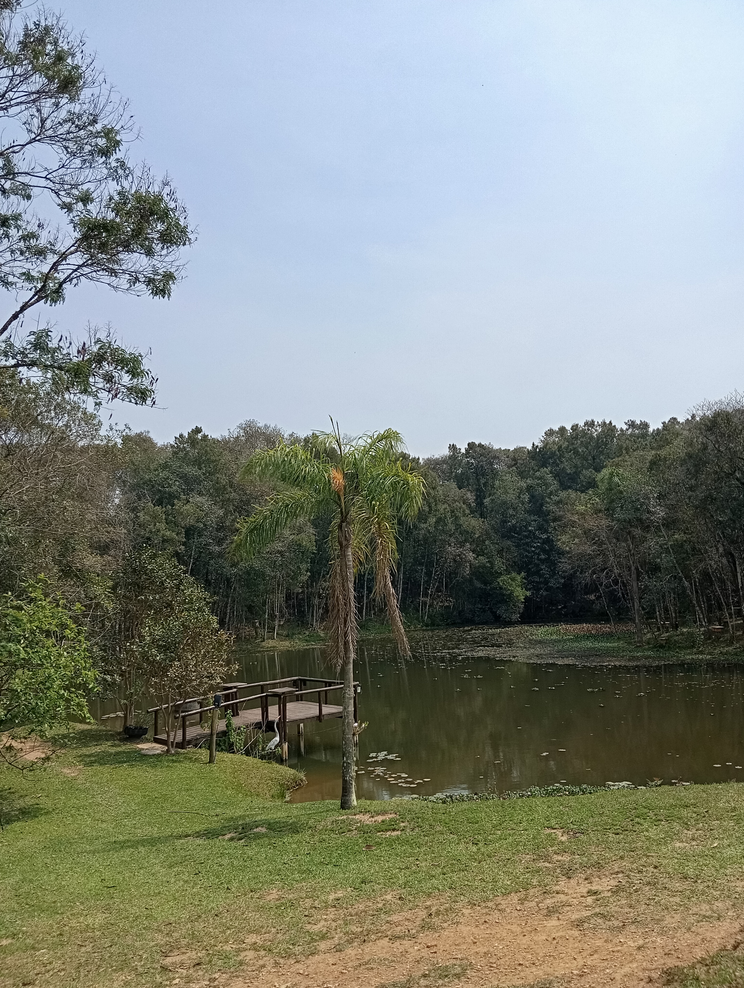 Visita ao meliponario doce paraíso